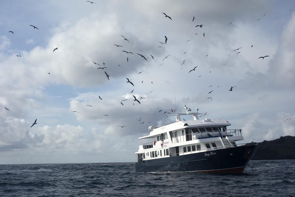 Galapagos Master, Wolf Island