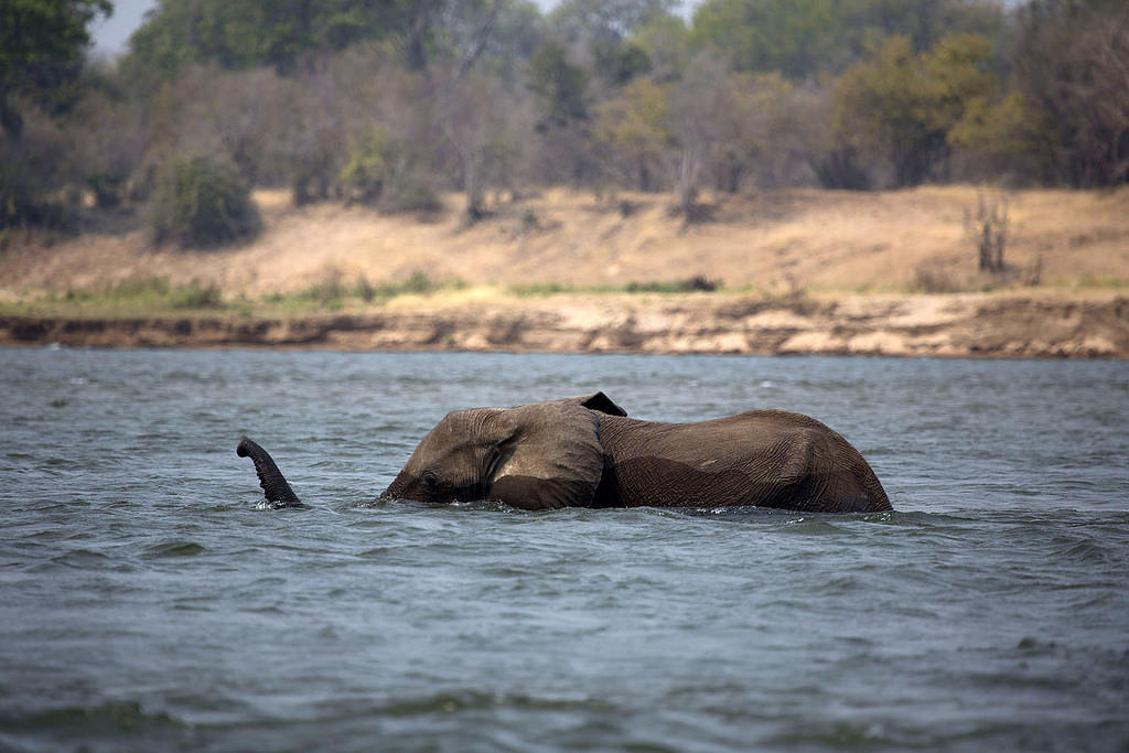 Crossing the Zambezi
