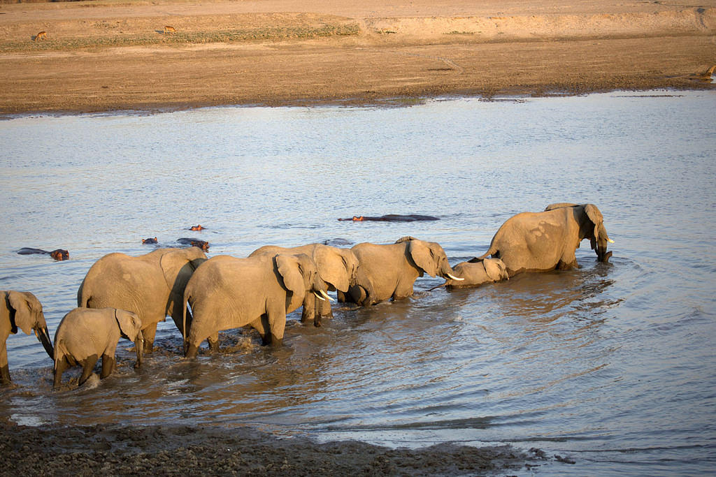 Single file
