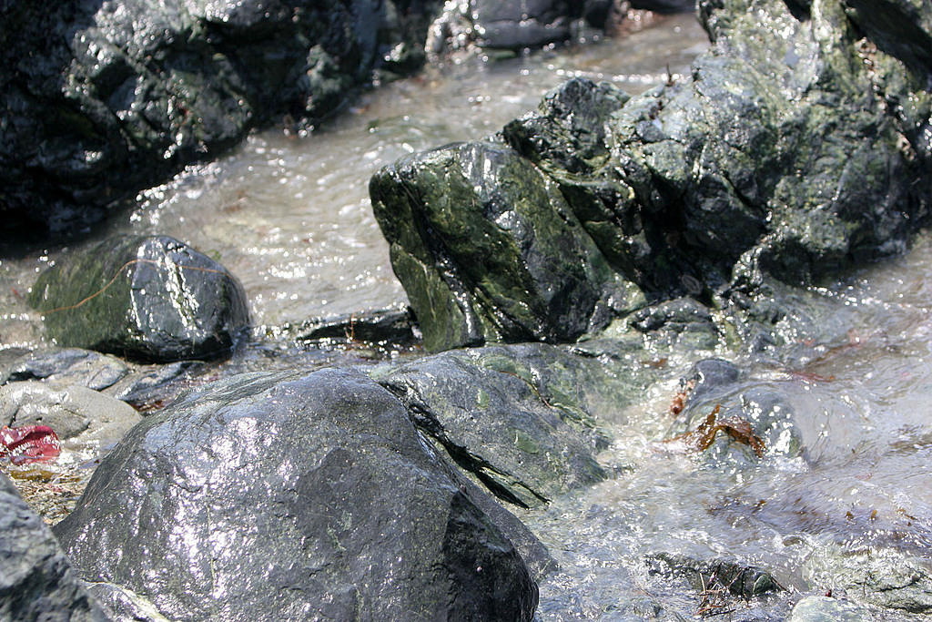 Jade in the rocks in Big Sur