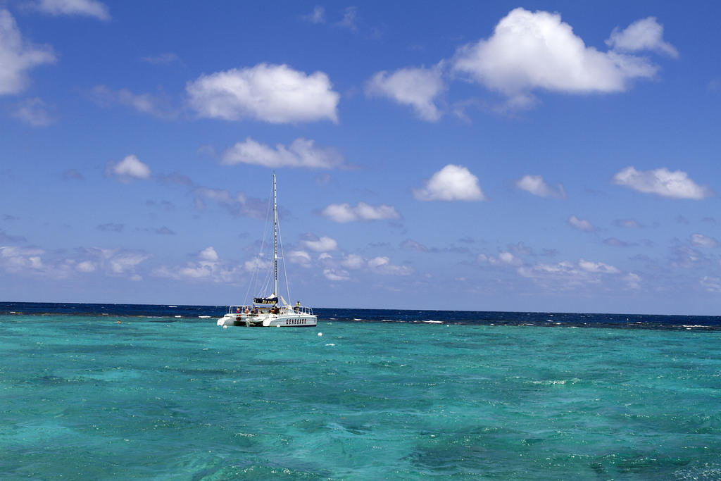 The reef surrounding Buck Island