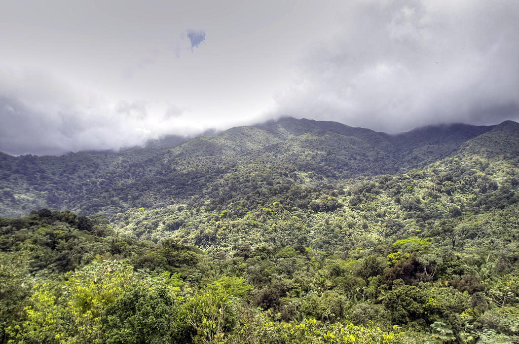 Yocahu tower 2, El Yunque