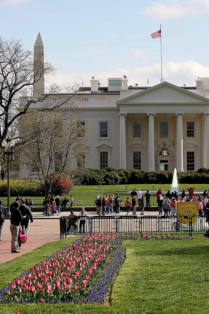 White House and Washington Monument