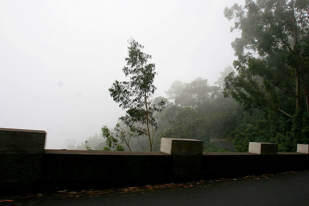 Driving in a cloud