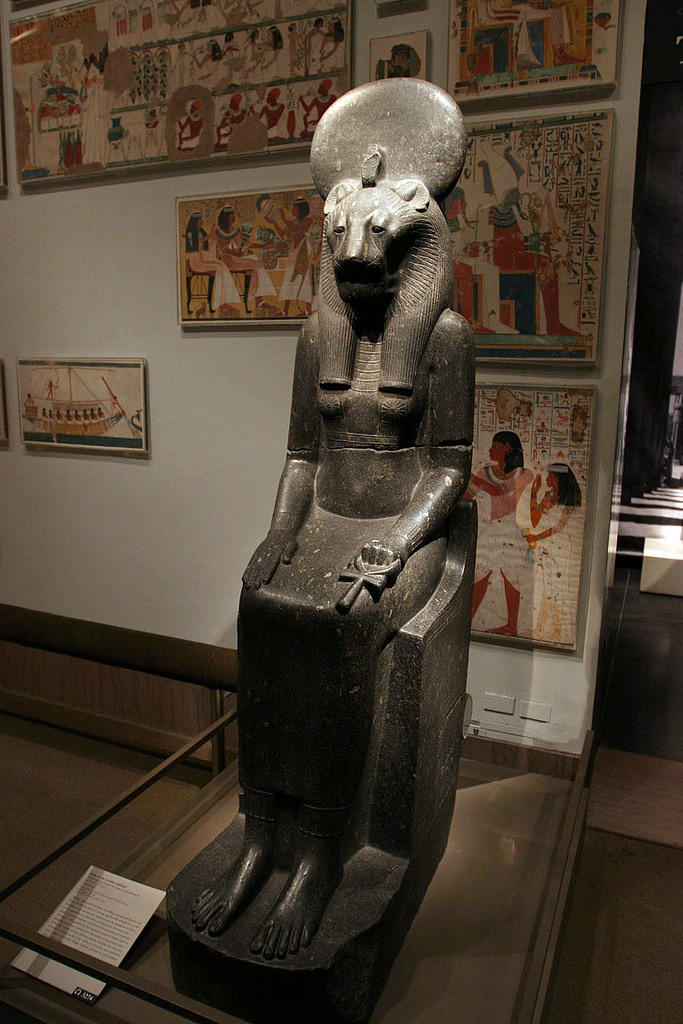 IMG 9811