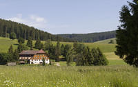 Black Forest, Germany