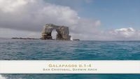 Marek's Galapagos 2015 Video