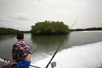 Tight turns in the mangroves