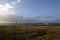 Wind farm