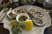 Oysters