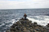 Jenny at the end of the Causeway