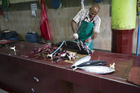 Cleaning tuna