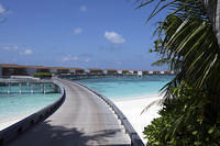 Boardwalk to bungalows