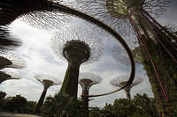Garden skywalk
