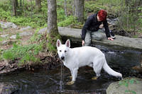 Playing in the water.