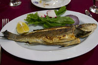 Grilled fish