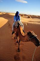 Touareg