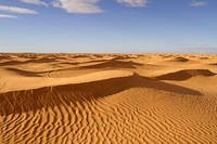 The Sahara