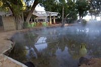 Hot spring, Ksar Ghilane