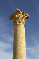 Column