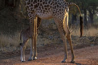 Standing with mom