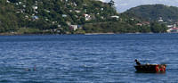 A tiny dog in a tinier boat near the underwater sculpture park in Grenada