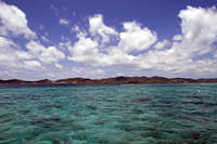 The barrier coral reef surrounding Buck Island