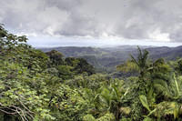 Yocahu tower, El Yunque