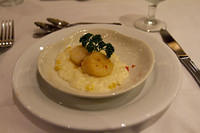 Scallop risotto