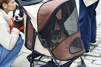 Cat stroller