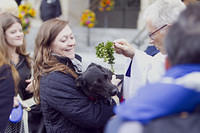 Dog getting blessed