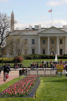 White House and Washington Monument