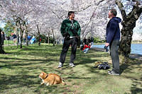 Cat on a leash