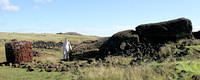 Ahu Te Pito Kura, with the toppled moai "Paro"