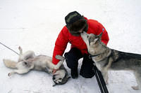 Dogsledding!