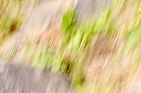 Here's an action shot from when I fell down at Svartifoss.  The camera was OK.