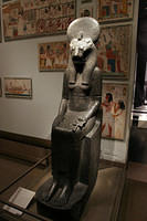 IMG 9811