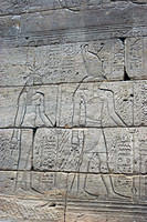 IMG 9819