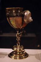 IMG 9826