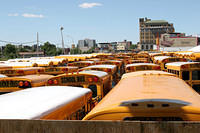 Field of cheese wagons